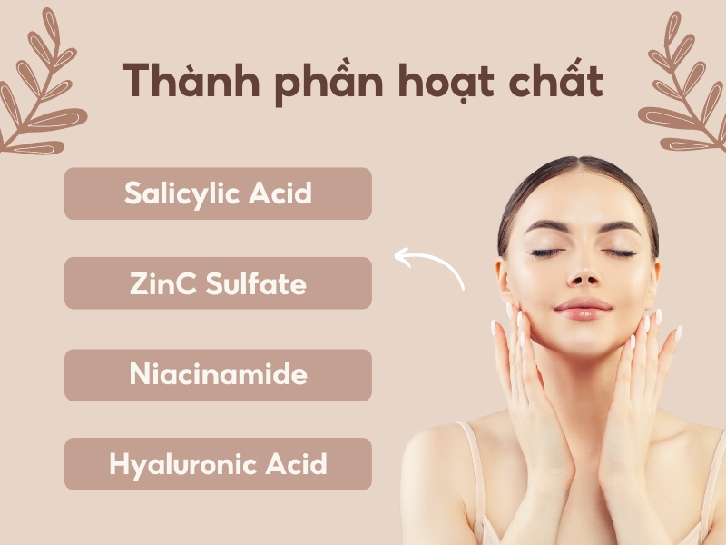 Thành phần hoạt chất nên có trong kem dưỡng ẩm cho da dầu mụn (Nguồn: Shopee Blog)