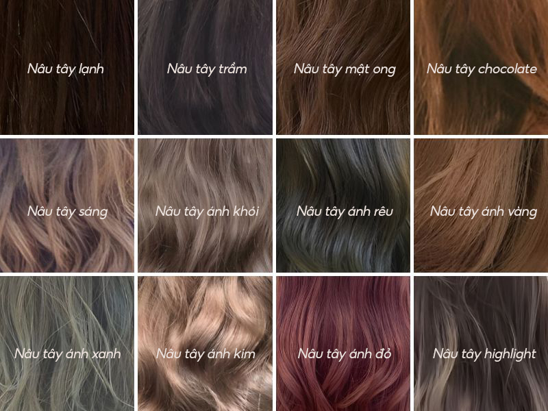 Bảng màu nhuộm tóc nâu tây (Nguồn: Shopee Blog)