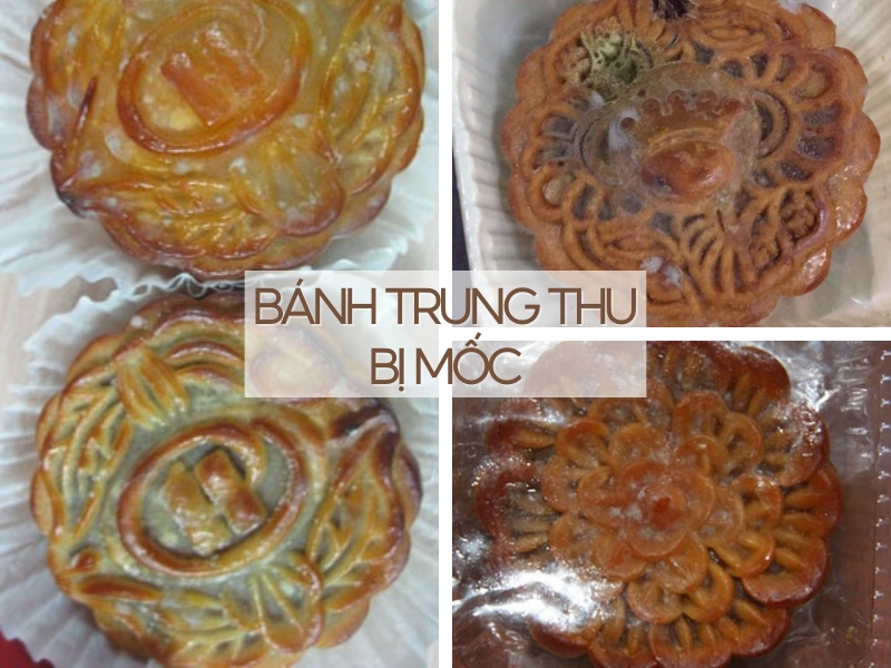 Hãy quan sát bánh trung thu thật kỹ trước khi ăn