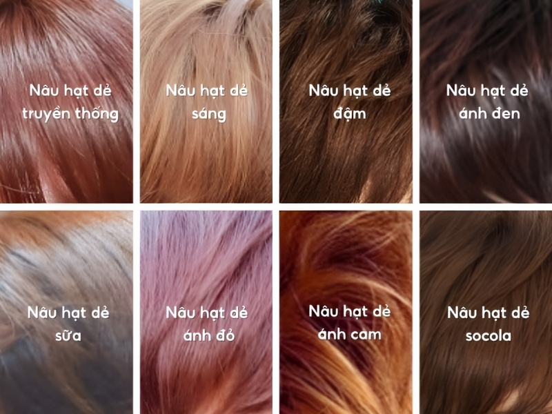 Bảng màu tóc nâu hạt dẻ nam cho bạn tham khảo (Nguồn: Shopee Blog)