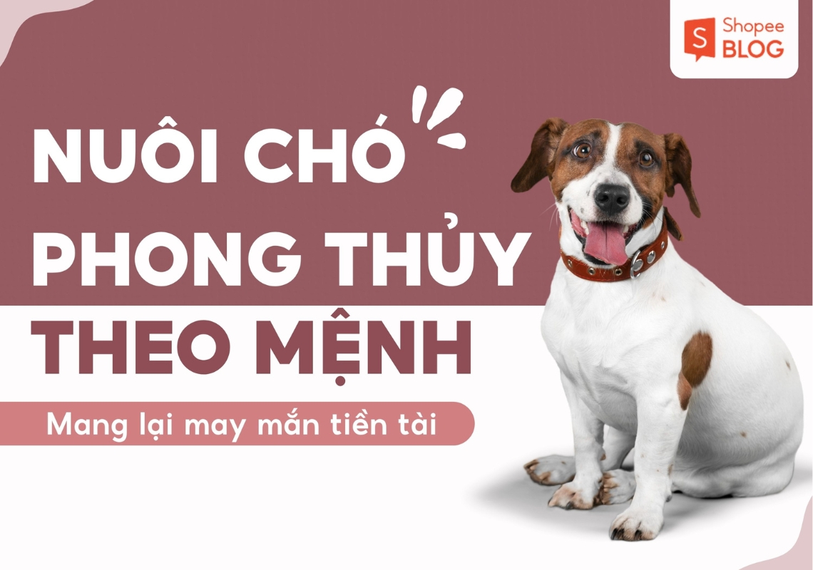 Nuôi chó phong thủy