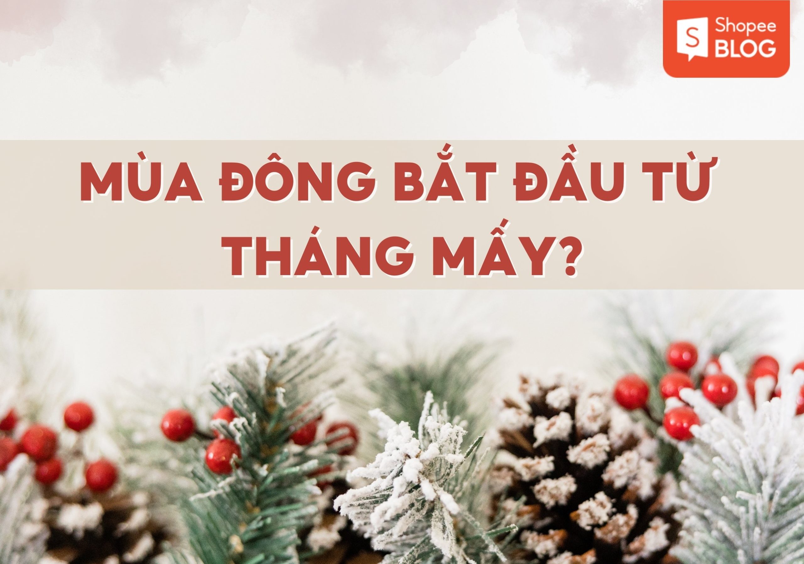 Mùa đông bắt đầu từ tháng mấy