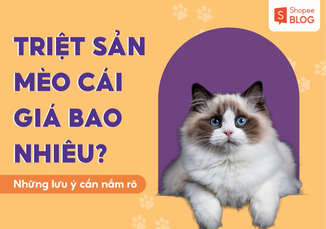 Triệt sản mèo cái giá bao nhiêu