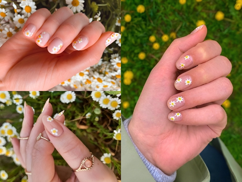 Hoa bột nail mẫu hoa cúc hoạ mi | Shopee Việt Nam