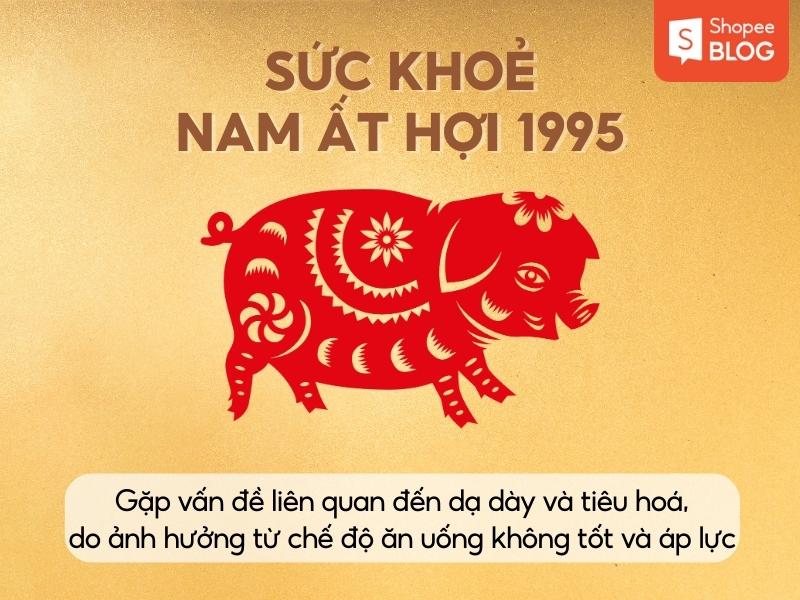 Sức khỏe của mệnh Ất Hợi 2024 nam mạng