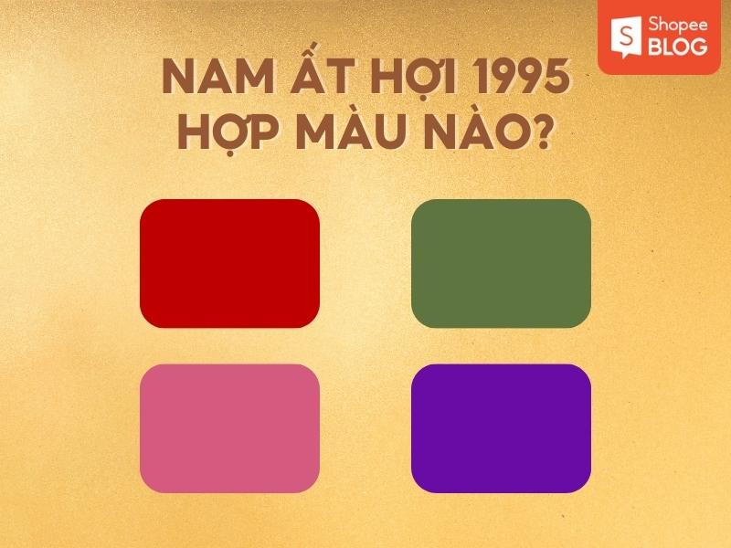 Nam Ất Hợi 1995 hợp xe màu gì? 