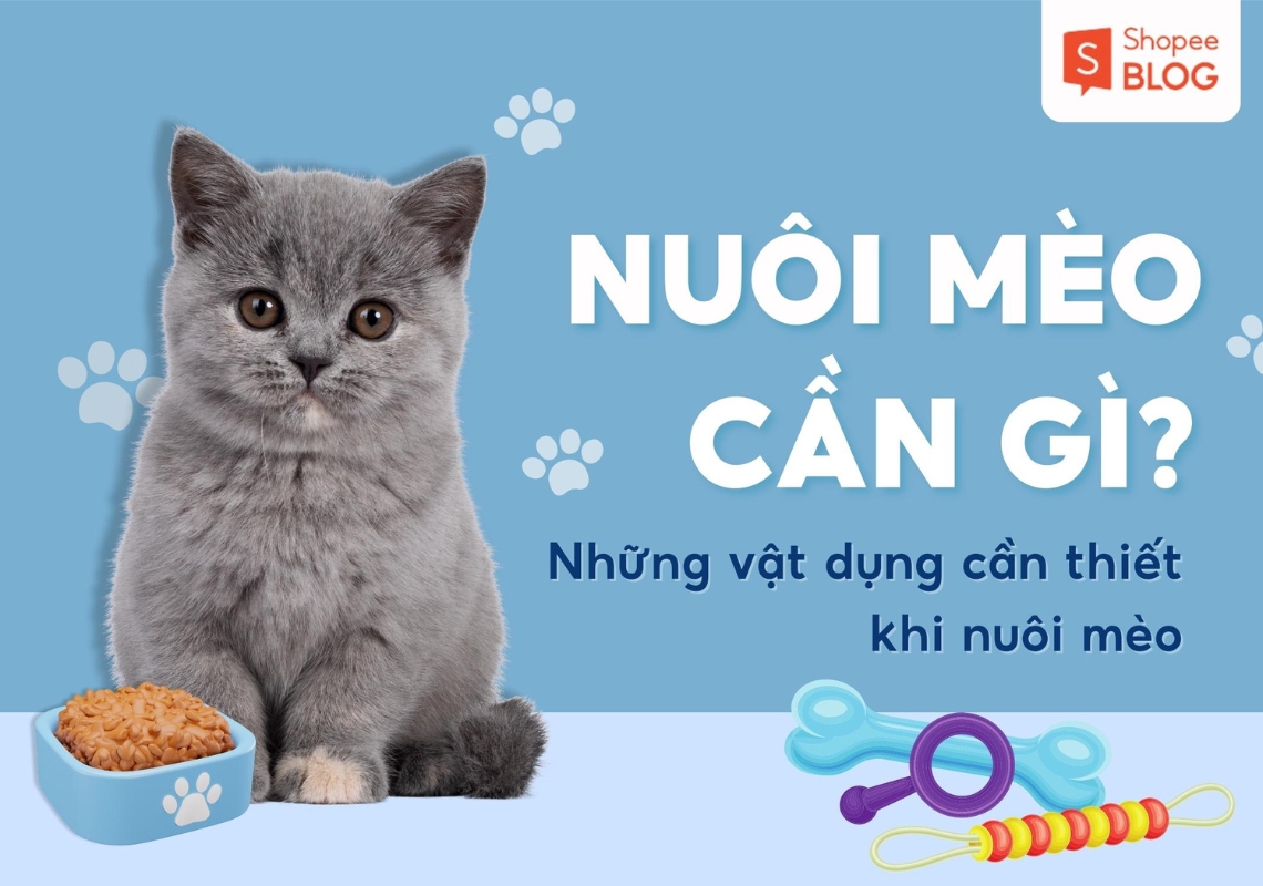 nuôi mèo cần gì