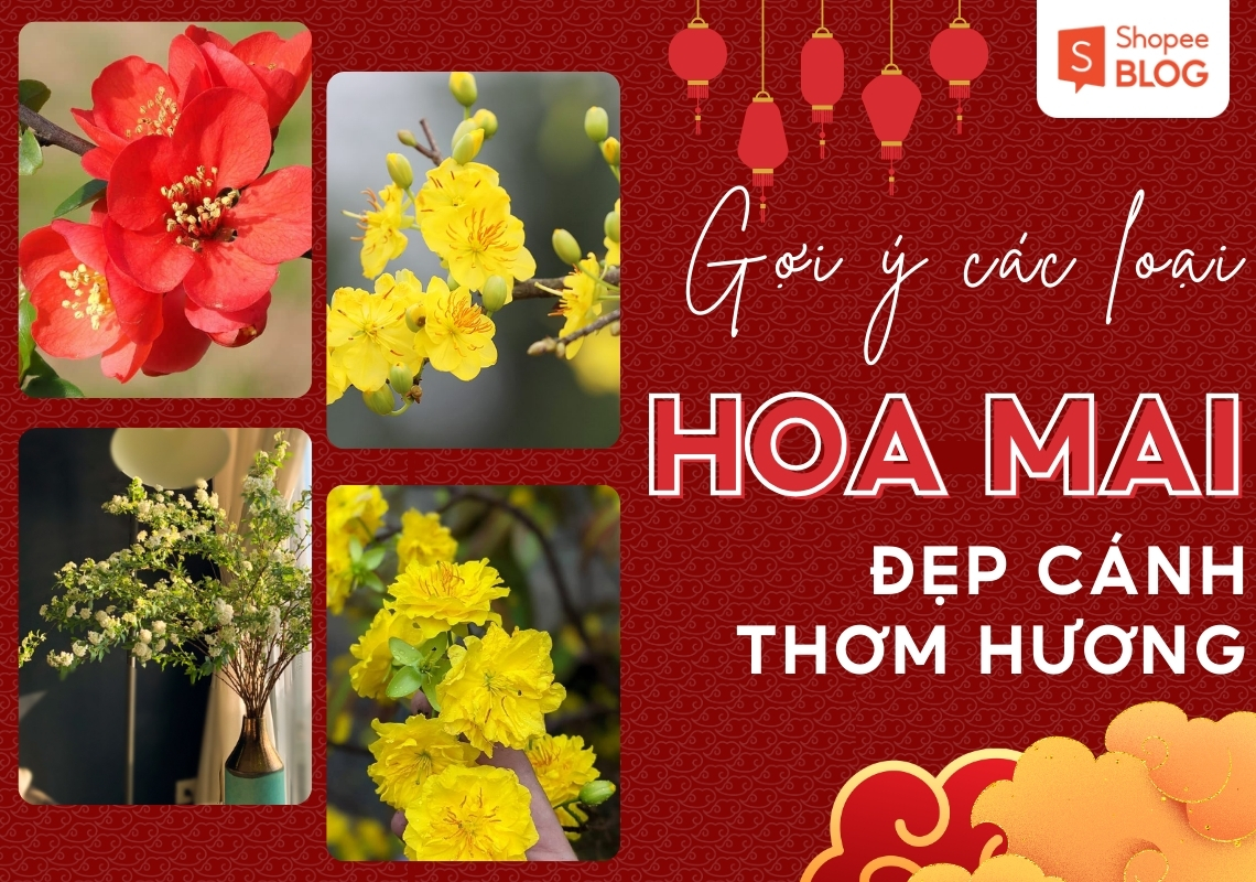 các loại hoa mai