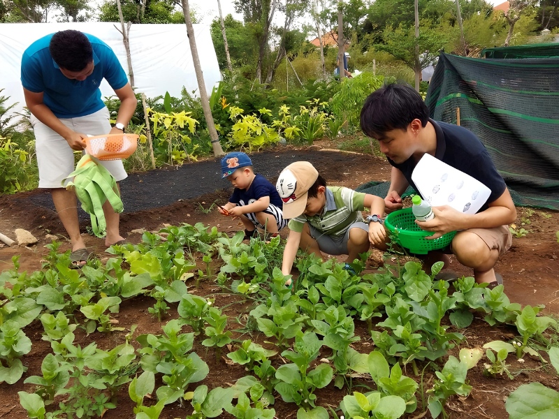 Hoạt động trải nghiệm tại Family Garden