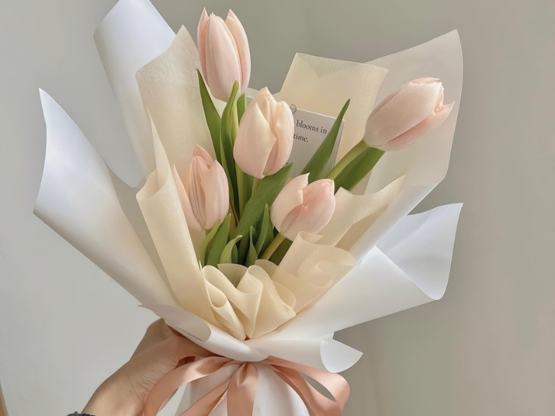 Hoa tulip màu da tặng valentine