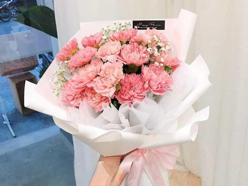  hoa cẩm chướng màu hồng tặng Valentine