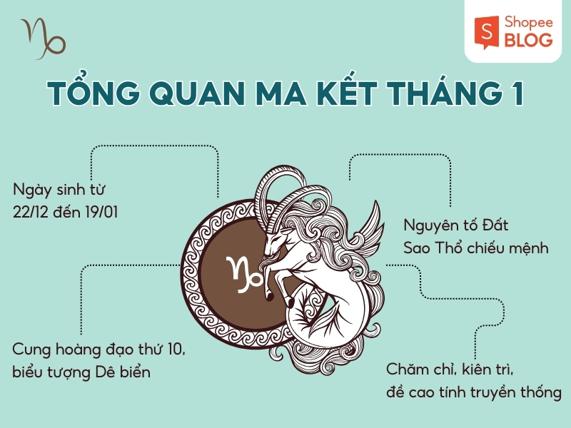 Tổng quan cung Ma Kết tháng 1