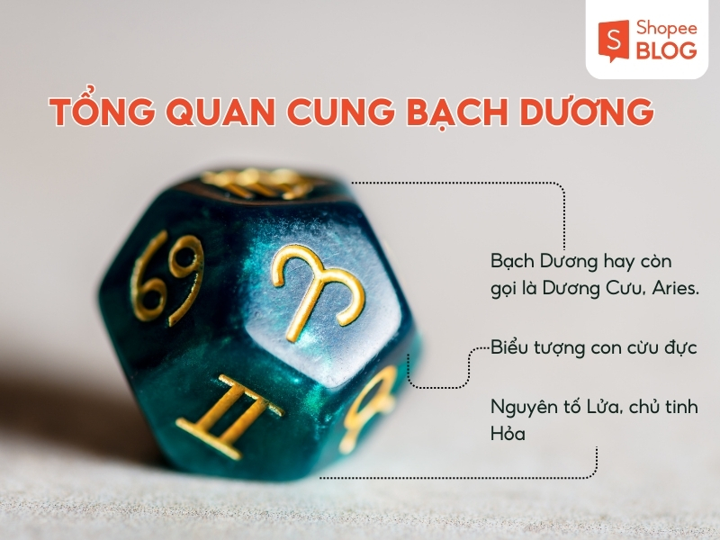 cung bạch dương