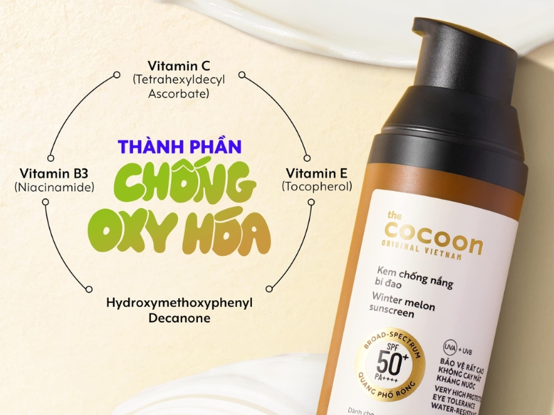 thành phần kem chống nắng Cocoon 