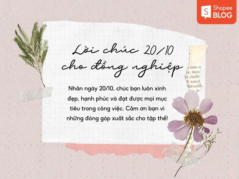 Một số lời chúc 20/10 cho đồng nghiệp