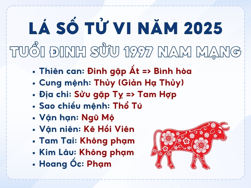Luận giải tử vi trọn đời tuổi Đinh Sửu 1997 nam mạng