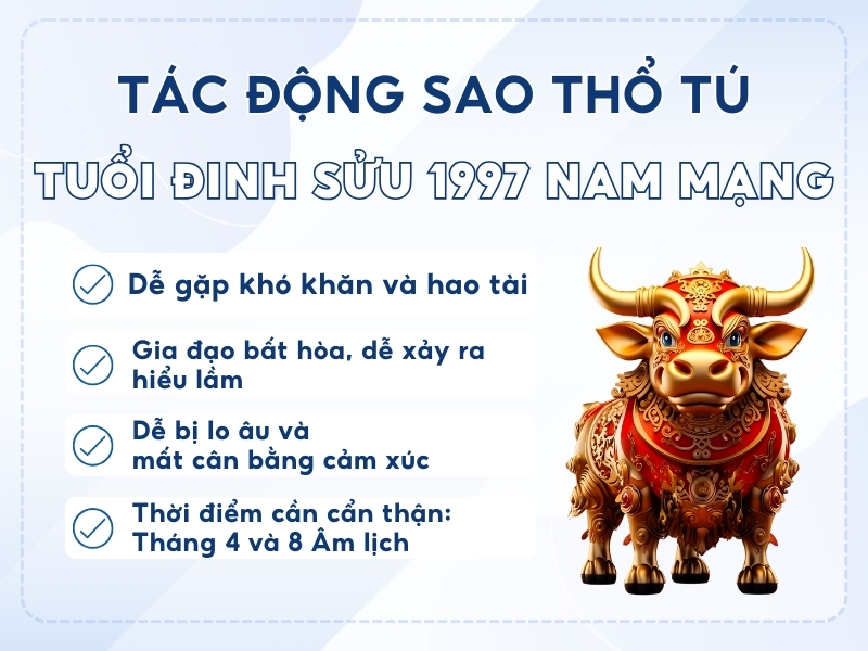 Tuổi Đinh Sửu nam gặp sao Thổ Tú trong năm 2025
