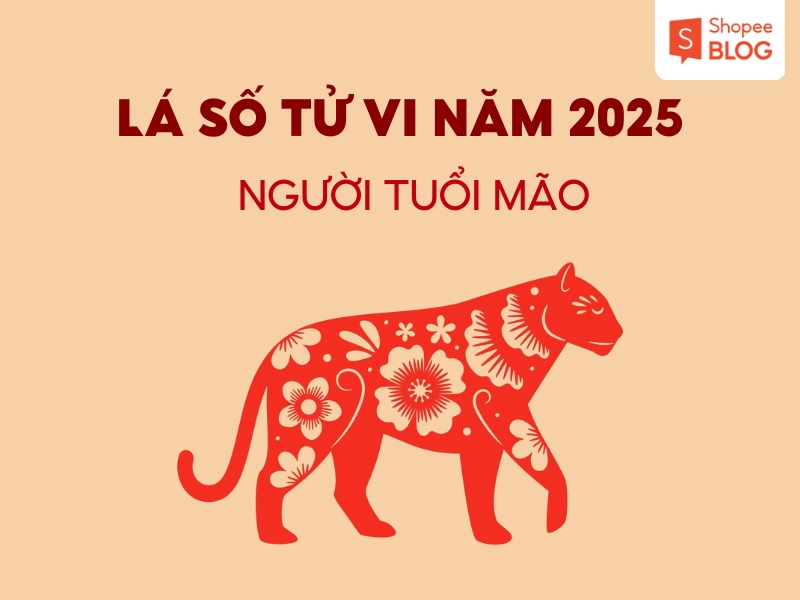 lá số tử vi tuổi Mão 2025