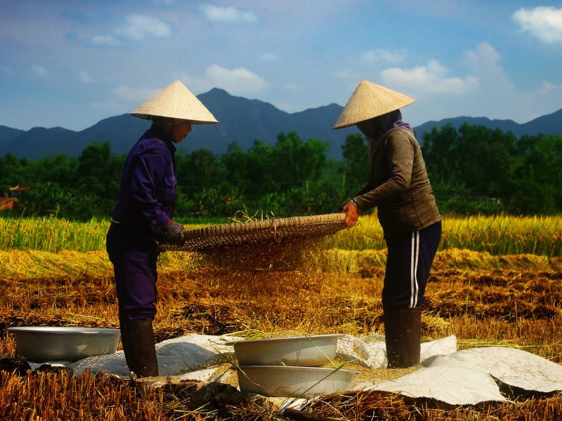 Ngày 31 tháng 5 năm 2025 là ngày bao nhiêu âm lịch?