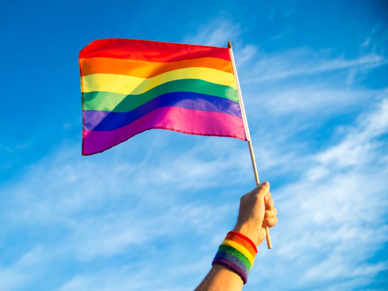 Các loại cờ của cộng đồng LGBTQIA+