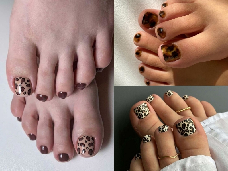 nail chân Da báo