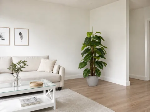 Living room with the reference plant placed in the corner