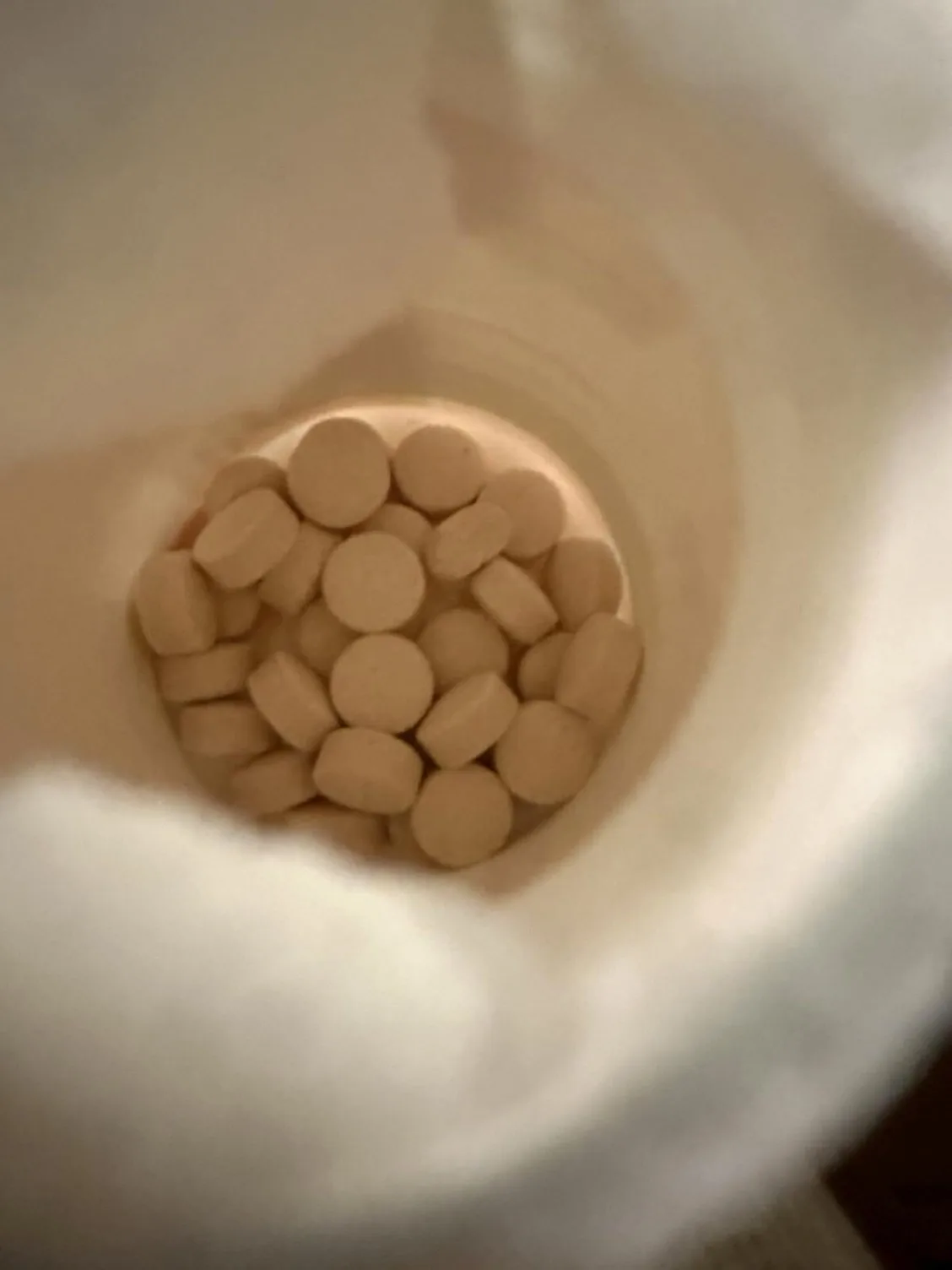 View down into an open Synadentix bottle showing rounded tan tablets resting inside the white plastic container