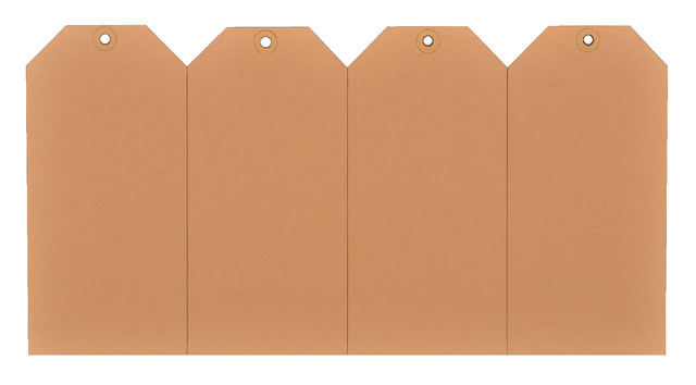 Label karton nr2 200gr 40x80mm chamois 1000stuks