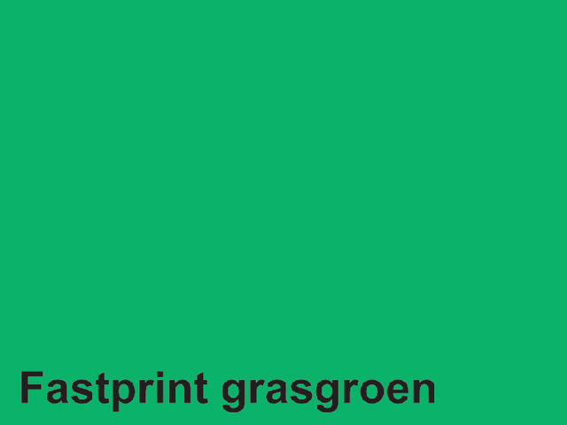 Kopieerpapier Fastprint A4 160gr grasgroen 50vel