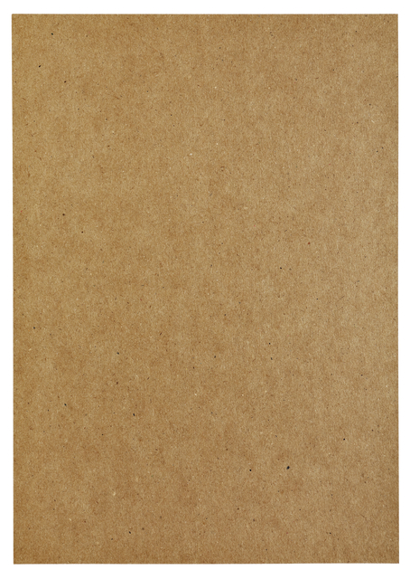 Kopieerpapier Papicolor A4 100gr 12vel kraft bruin