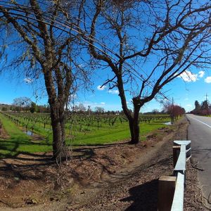 The Old Redwood Highway Healdsburg