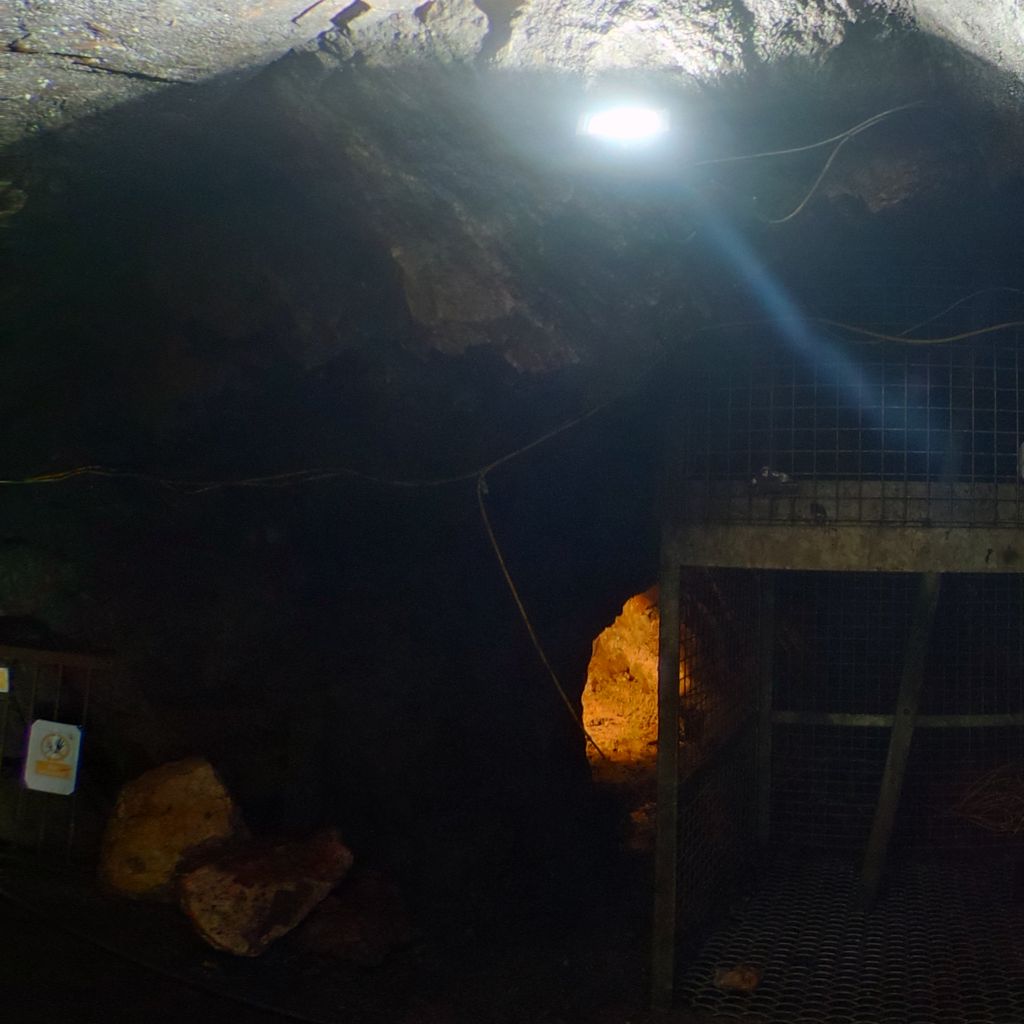Inside the Mine-2