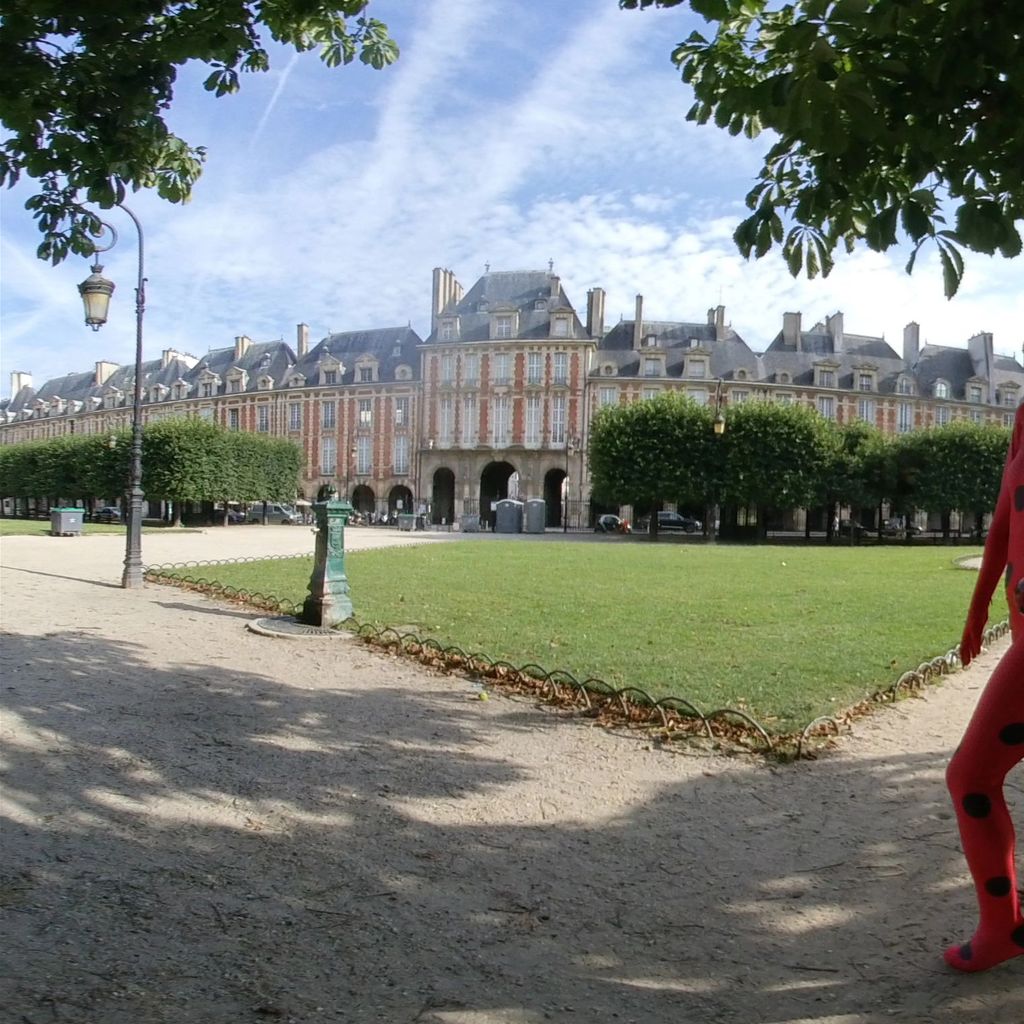 Place des Vosges 5