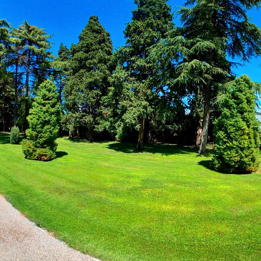 Il verde che ti accogli al parco