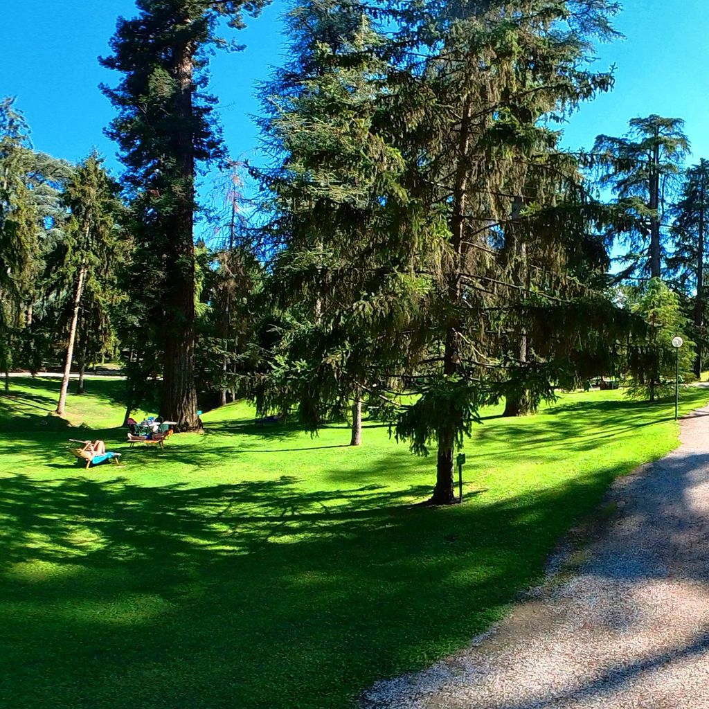 Il parco e il suo verde