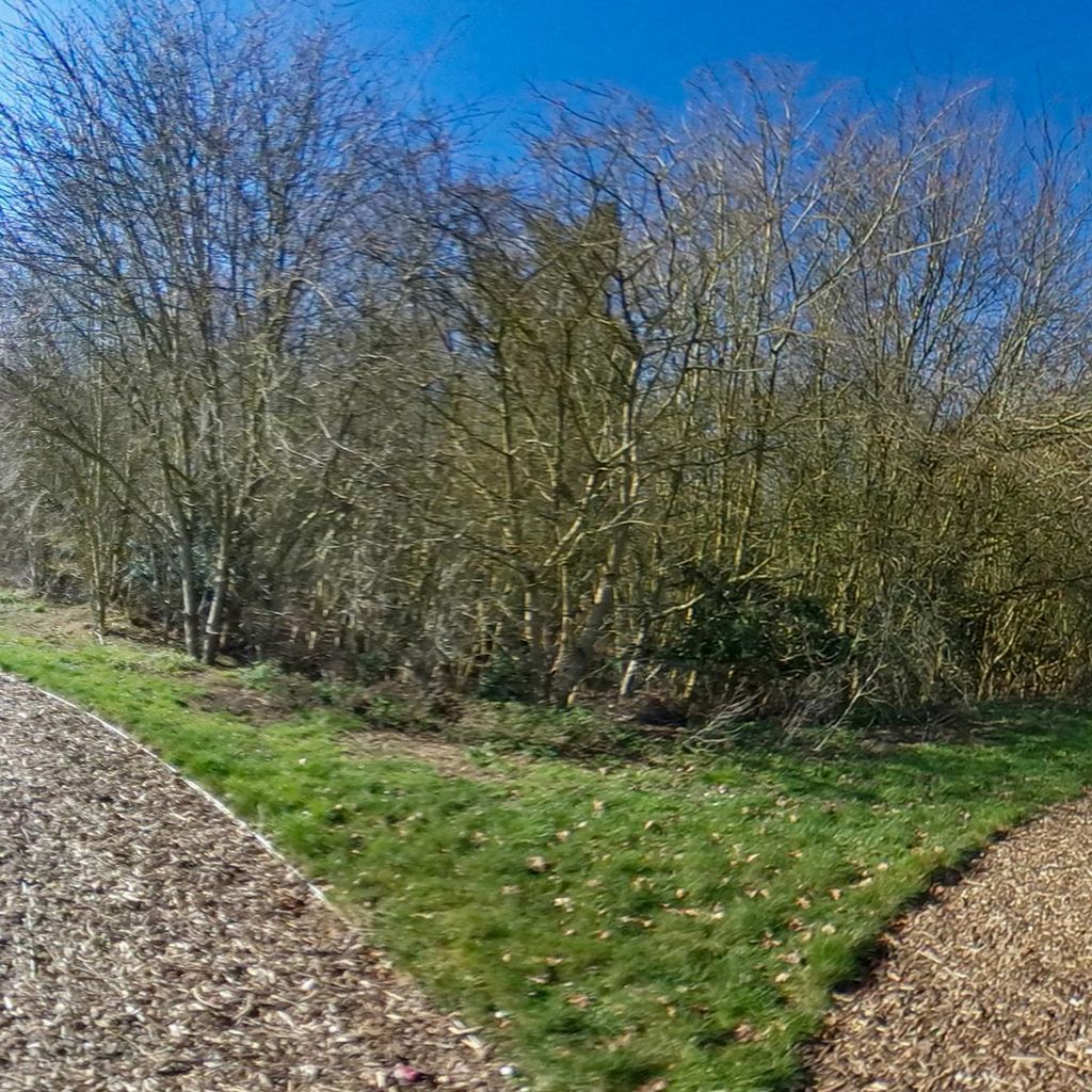 Gardens (Vegetable Garden)