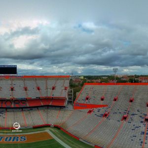 University of Florida - Florida Gators