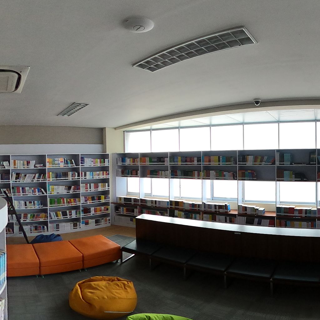 Library-Reading Area