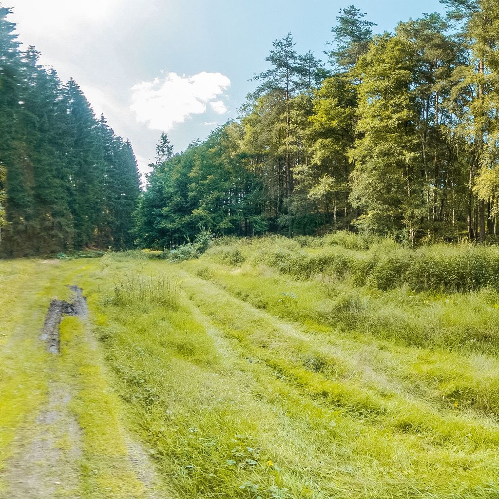 Cesta spojujici horni cast pozemku, pastviny a stavebni parcelu