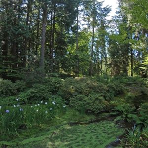 Nitobe Garden