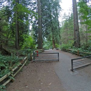 Atkinson Lighthouse trail