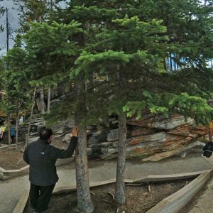 Athabasca Falls