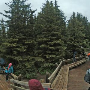 Peyto Lake