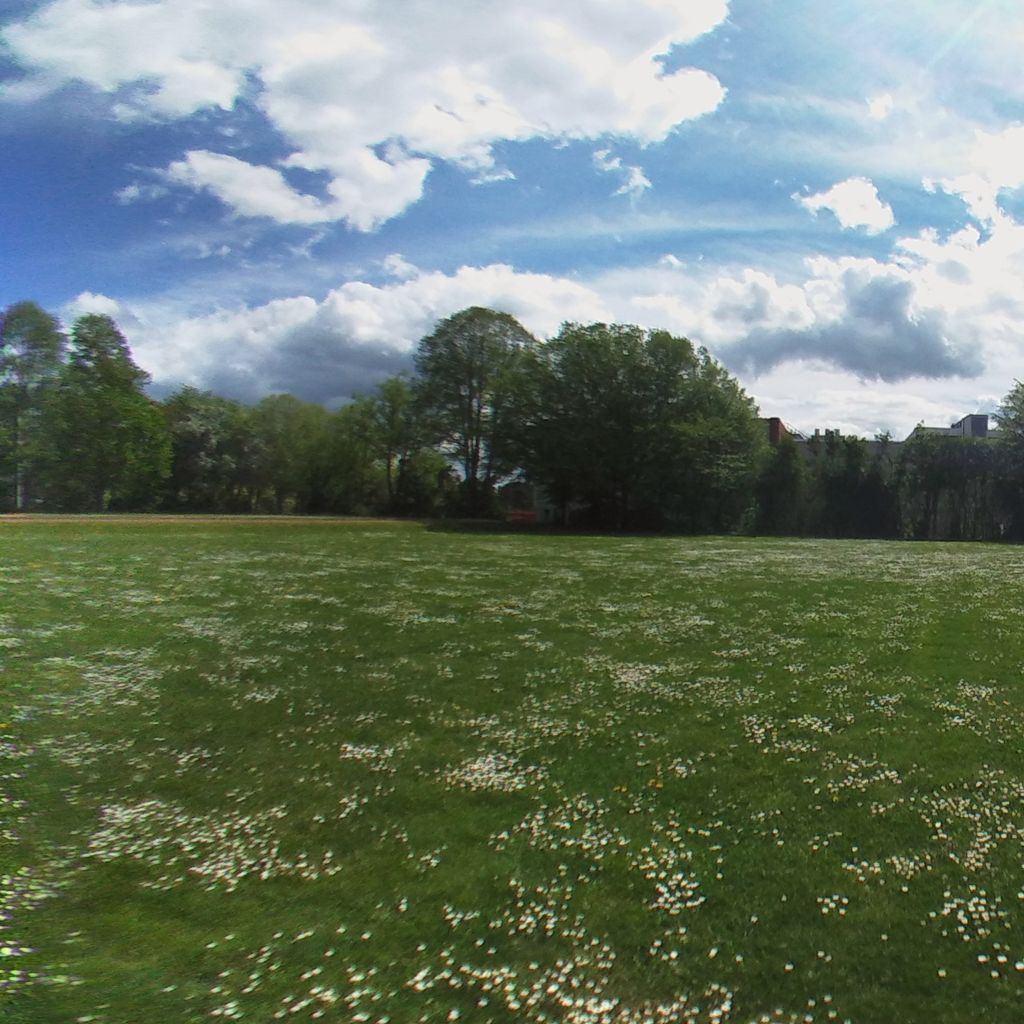 Der Sportplatz