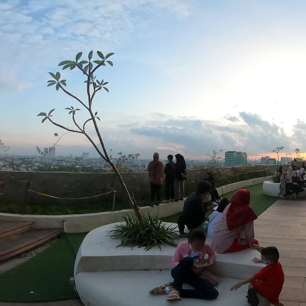 Rooftop Garden