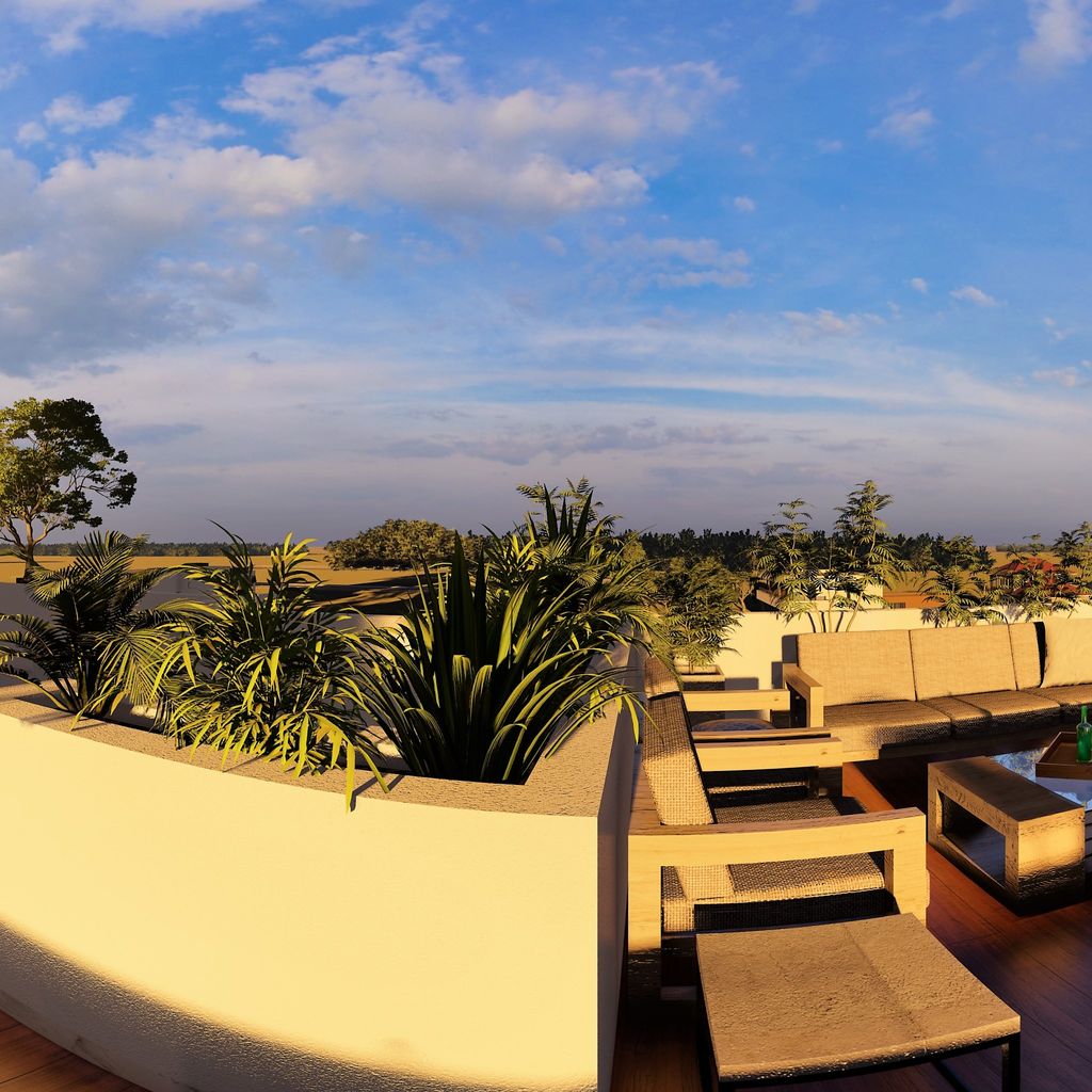 Roof Garden