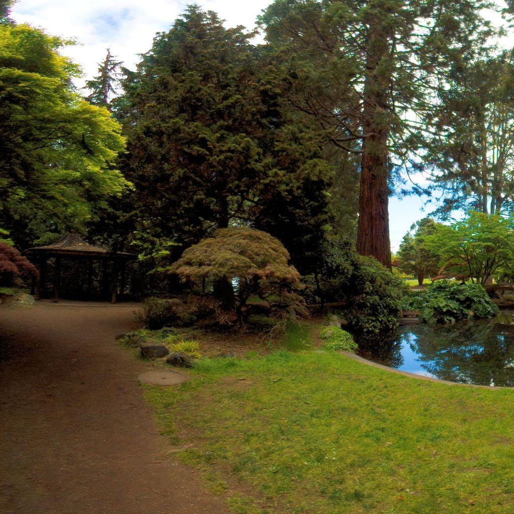 Japanese garden