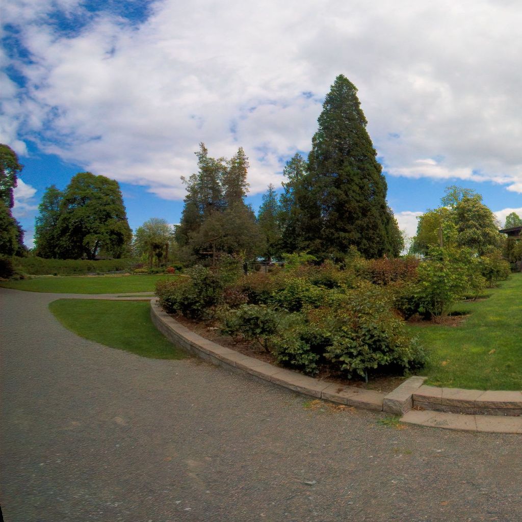 Gazebo, the rose garden