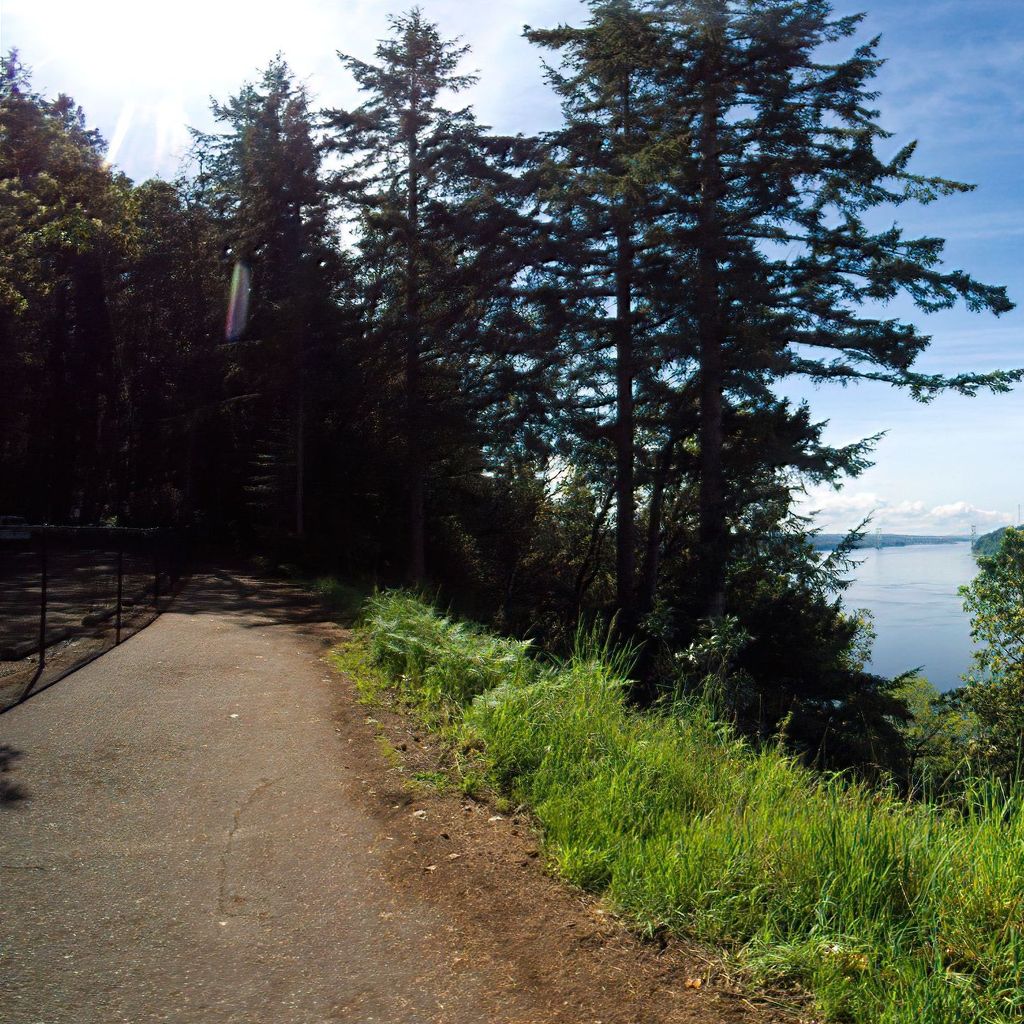 Bridges viewpoint