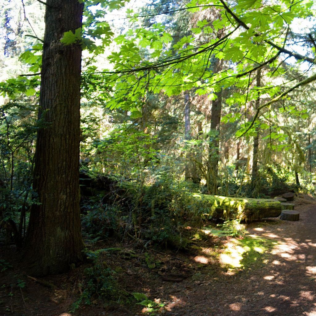 walking the trail